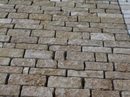 Paves de Versailles